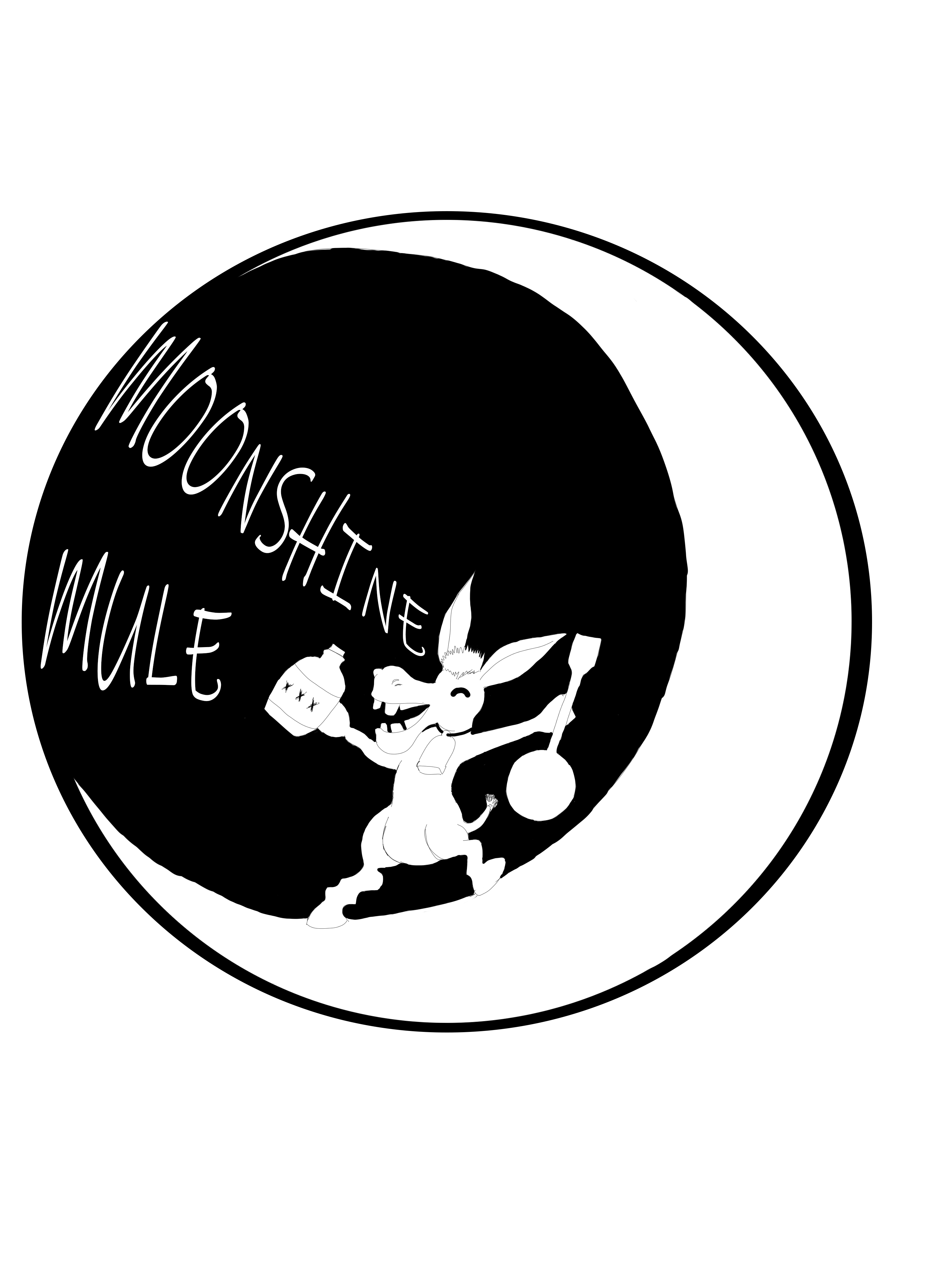 Moonshine Mule Bluegrass Band