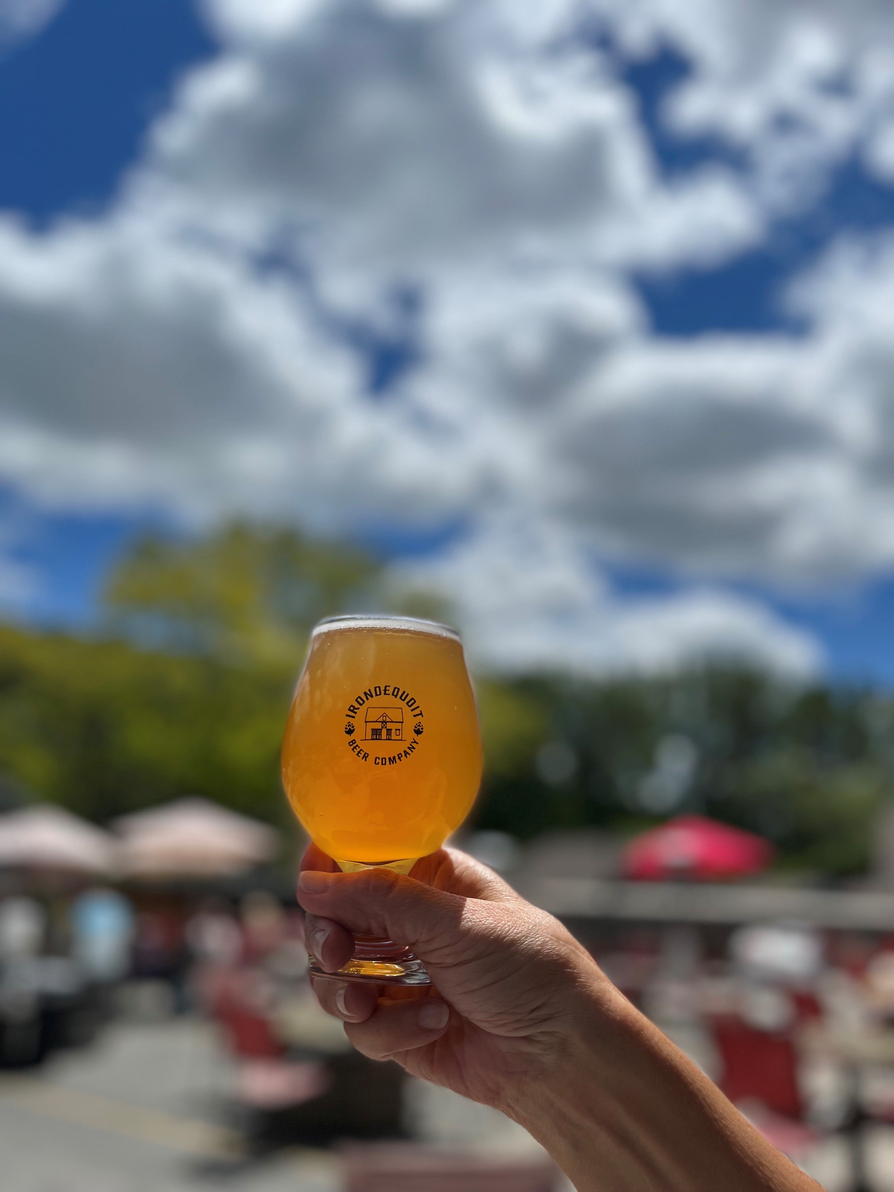 Irondequoit Beer Company photo