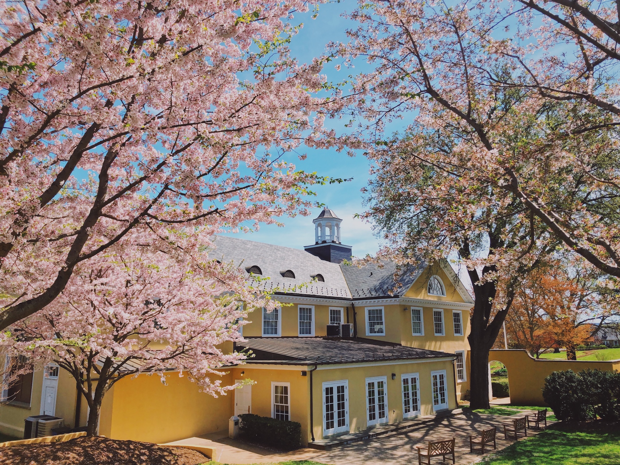 Middleburg Community Center photo