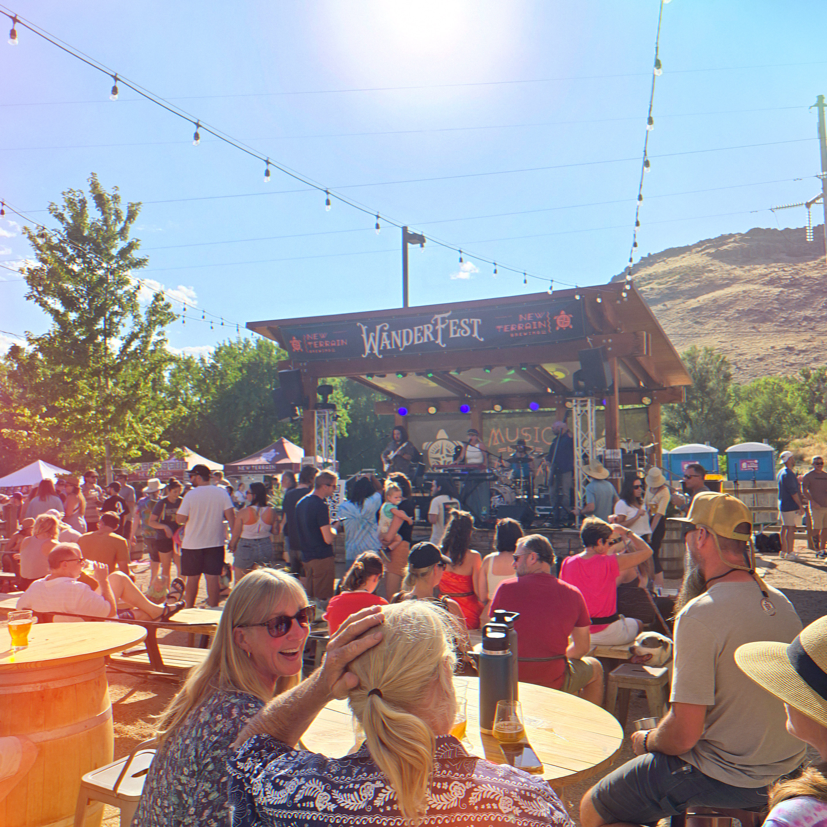 New Terrain Brewing photo