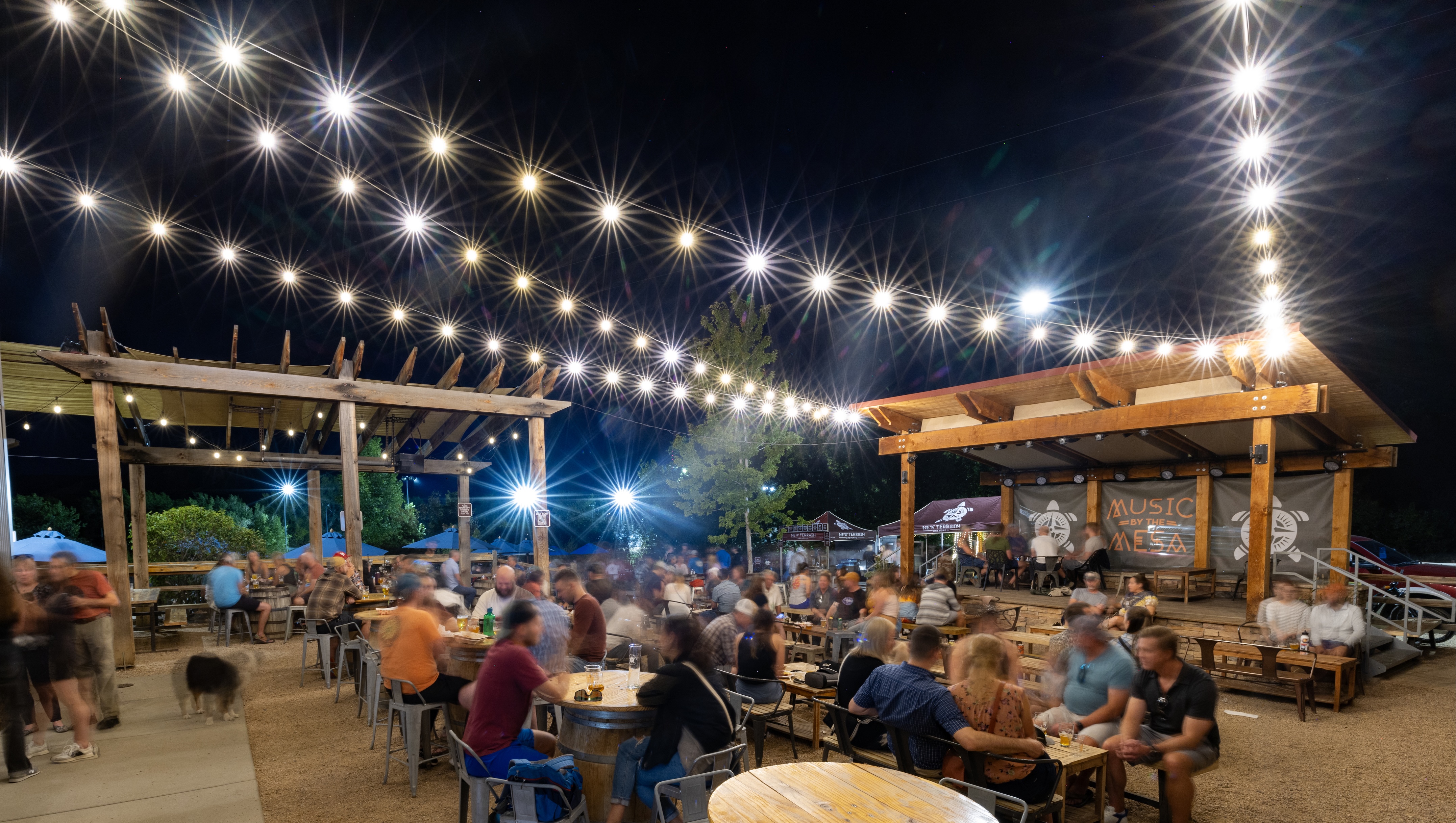 New Terrain Brewing photo